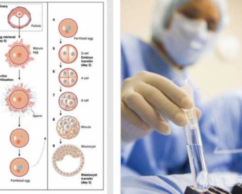 国内试管代怀生殖,高龄不孕不育能做三代试管吗(高龄不孕不育做三代试管*率高吗)