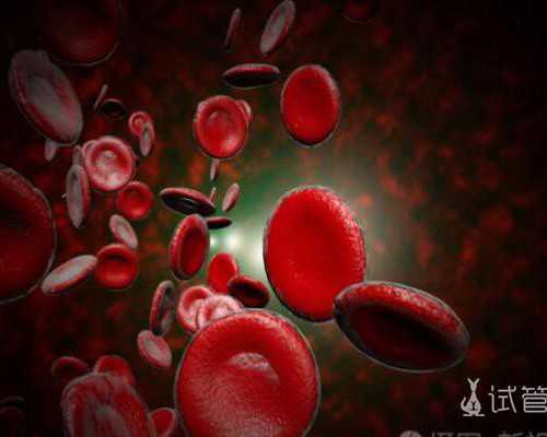 国内供卵试管在哪里做好,这些事儿关乎试管*率大龄女性看过来