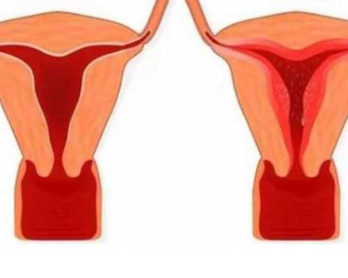 国内代生哪家靠谱,哪些因素会影响第三代试管婴儿*率(第三代的试管婴儿*率高吗)