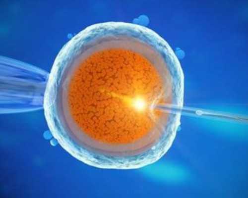 国内供卵公司包男孩,叶酸服用过量有哪些危害