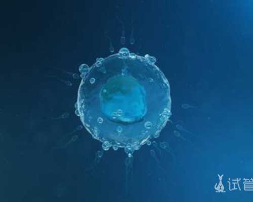 试管代怀供卵~试管婴儿冻胚成功率多少