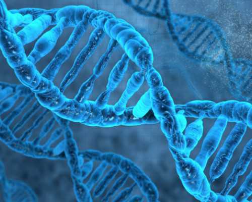 国内做供卵的机构名单最新,做试管婴儿前是否有必要检查自身免疫抗体(试管婴儿前要做免疫检查吗)