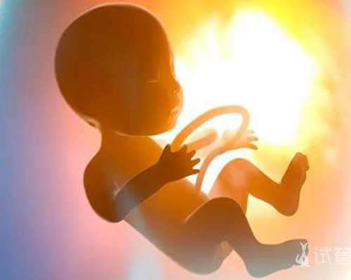 借卵试管费用~泰国试管婴儿养囊标准