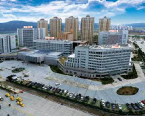 国内私人代孕公司,三代试管能避免哪些遗传疾病(三代试管婴儿可以阻断遗传病吗)