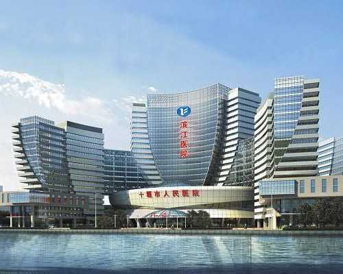 国内代生付费方式,合肥试管婴儿过程 合肥做试管婴儿贵吗