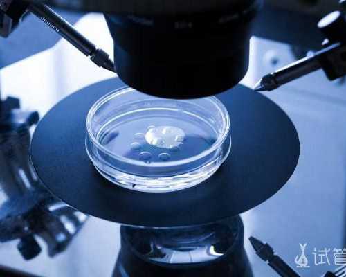 国内供卵怀孕包男孩,做试管婴儿胚胎移植后几天着床？反复失败是什么原因