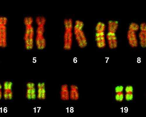 国内正规借卵代孕公司,做试管婴儿取卵前要了解的问题有哪些