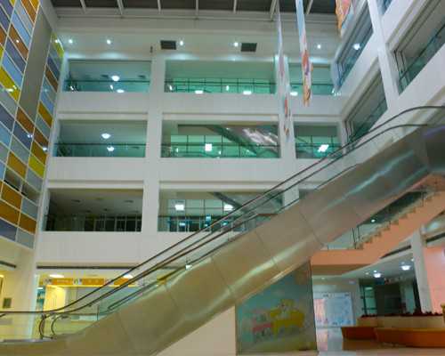 国内供卵做试管不用等,试管婴儿能决定男女，打促排卵针可以怀双胞胎吗