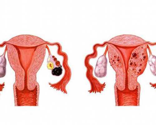国内最大的供卵机构,鲜胚移植第11天白板稳住别慌！着床出血粉印统统都要来了